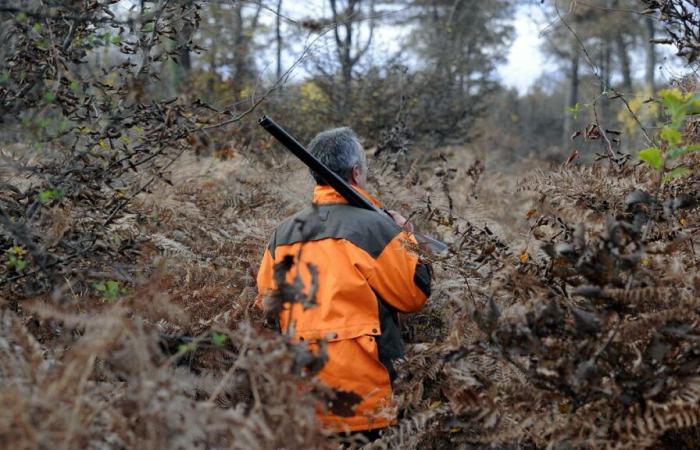 “Pensavo di aver pestato una mina”: un camminatore amputato dopo un incidente di caccia nel Var