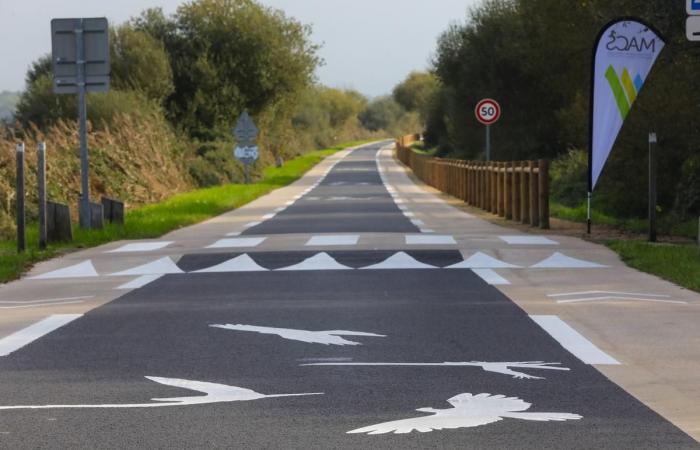 qual è il “chaucidou” che permette di attraversare la palude dell'Orx?