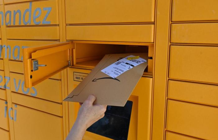 Amazon “hackera” la legge che impone un minimo di 3 euro di spese di spedizione per le spedizioni di libri