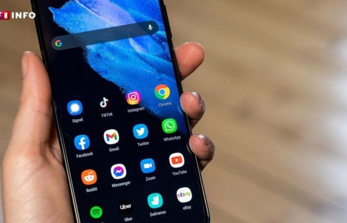 Questo trucco aumenterà la velocità del tuo telefono Android