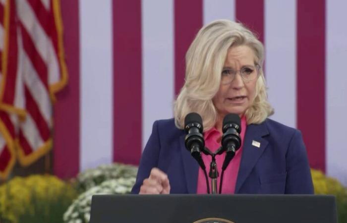 Arnold Schwarzenegger, Liz Cheney… Questi repubblicani che voteranno per Kamala Harris