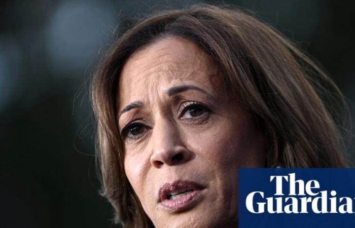 Kamala Harris ammette Trump ma esorta i sostenitori a “non arrendersi mai” | Elezioni americane 2024