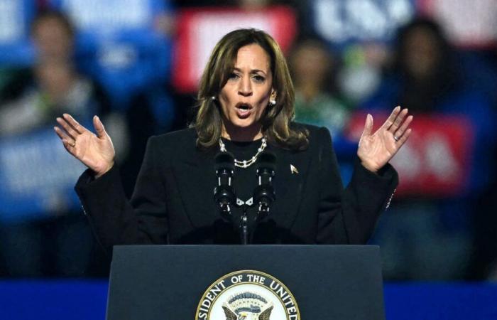 Kamala Harris non parlerà dall'oggi al domani