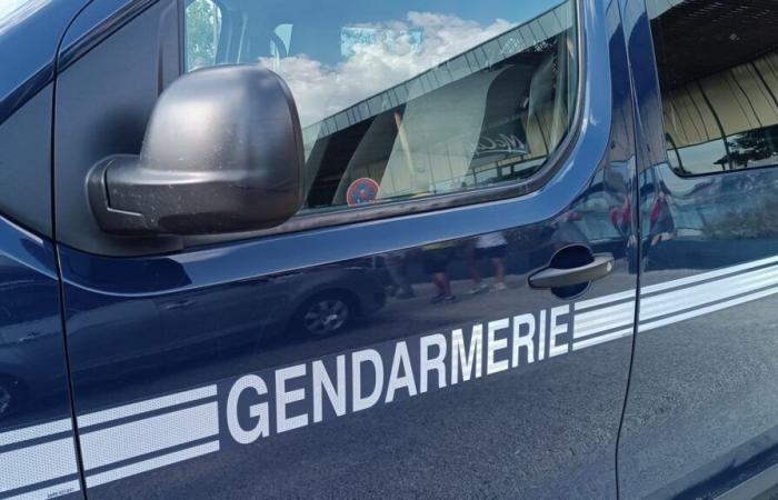 Una donna di 25 anni ritrovata in un campo nell'Ariège dopo essere stata rapita e violentata