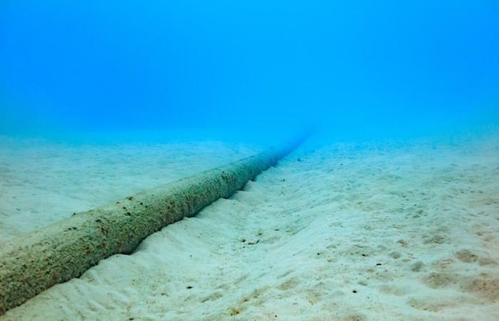 lo Stato francese ne garantisce la sovranità