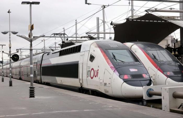 SNCF: perché i tempi di percorrenza saranno prolungati di 4 giorni sulla linea Parigi-Lione-Marsiglia