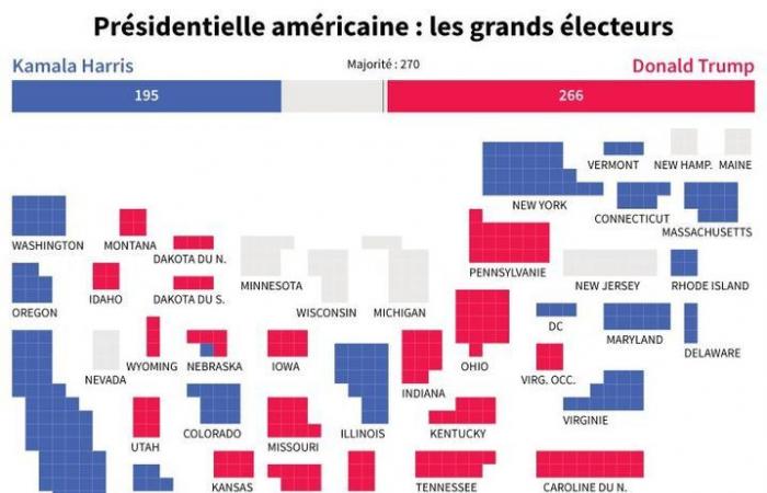 Congresso, grandi elettori… Comprendere le elezioni presidenziali in quattro infografiche