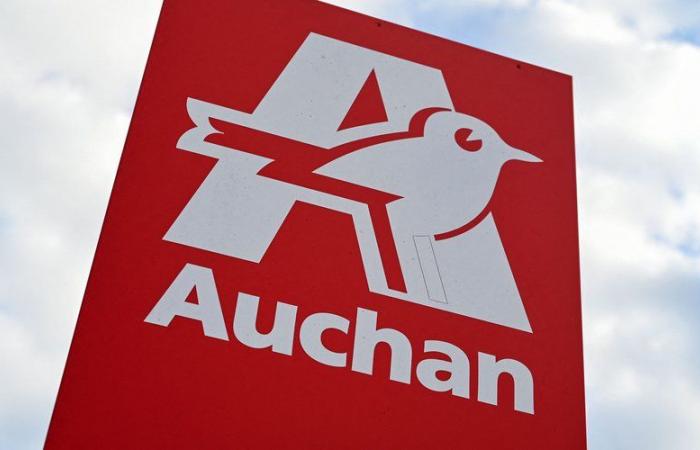 NARRAZIONE. Auchan: come il marchio è passato da campione della grande distribuzione del Nord a gruppo in difficoltà