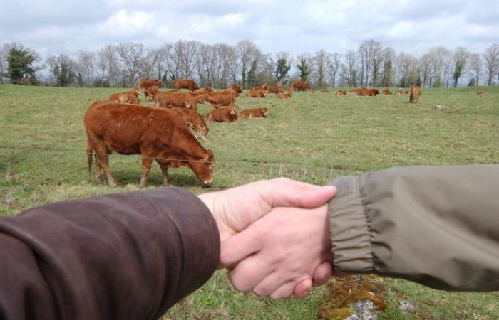 “Perdiamo 200 aziende agricole ogni settimana”: l’Alta Loira ospiterà un forum sulla delicata questione della trasmissione agricola