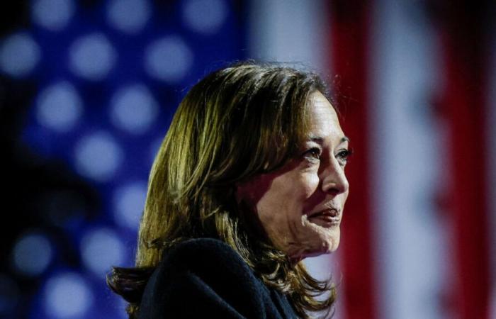 Elezioni presidenziali americane: Vermont, Maryland, Connecticut… gli stati vinti da Kamala Harris