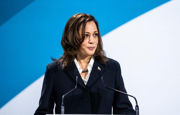 Perché Kamala Harris è stata picchiata così duramente da Donald Trump?