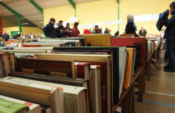 A Vendôme salva tonnellate di libri promessi di essere distrutti