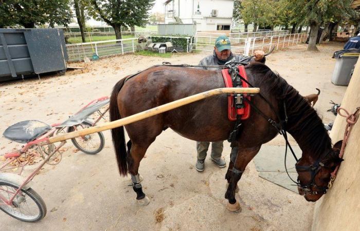 “Niente gioco, niente corsa, niente lavoro”: i professionisti delle corse dei cavalli del Tarn-et-Garonne si preoccupano per la loro sorte