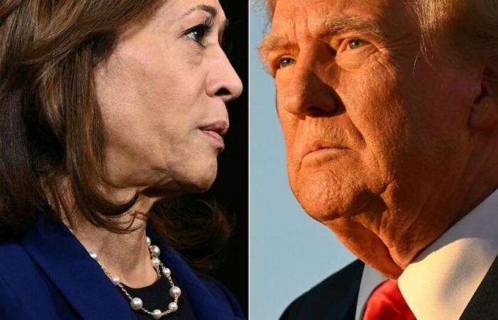 Donald Trump vince un primo stato chiave, Kamala Harris in difficoltà – L'Express