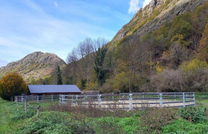 Giovane donna violentata e trovata legata in un campo nell'Ariège: “una persona normale”… Cosa sappiamo del presunto colpevole?