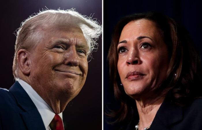 Risultati in tempo reale delle elezioni 2024: ultime notizie e sondaggi Trump-Harris