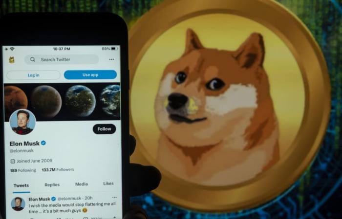 Dogecoin e altri memecoin aumentano mentre Trump vince le elezioni presidenziali