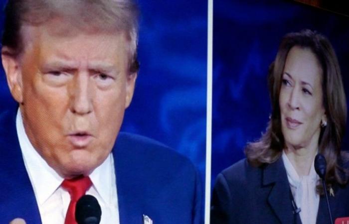 Donne, giovani, afroamericani, ispanici… quali elettori hanno votato per Donald Trump o Kamala Harris? : Notizia