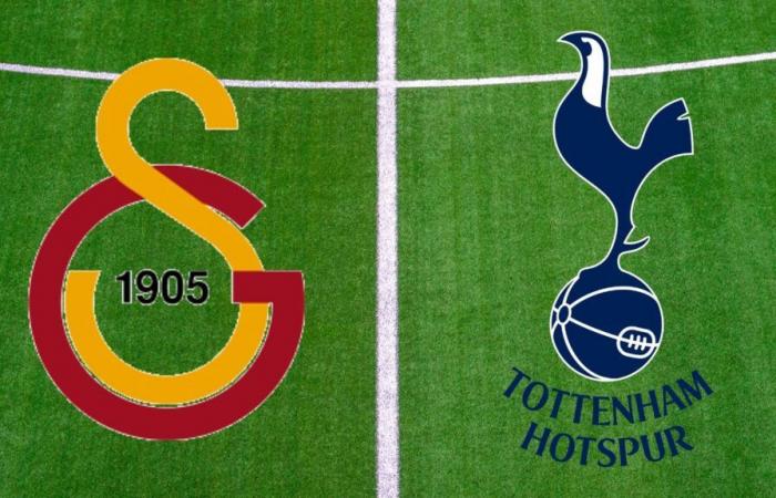 Tottenham: a che ora e su quale canale vedere in diretta la partita di Europa League?