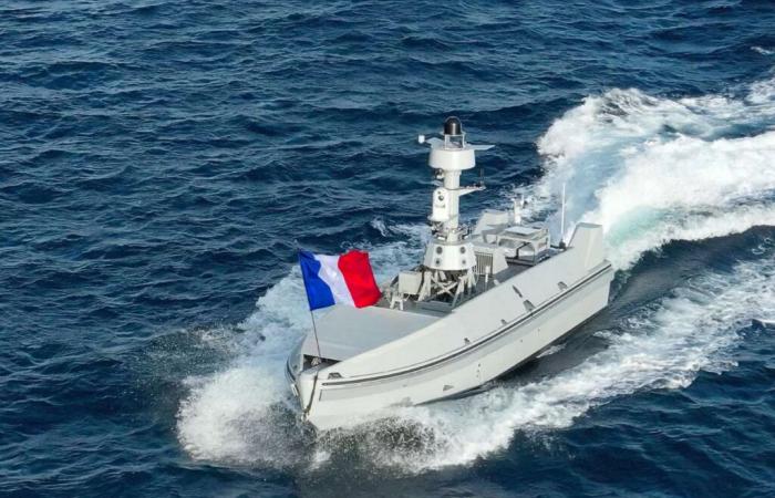 Questo colosso dell'armamento francese sferra un duro colpo all'ultimo salone Euronaval con questo USV che promette una flessibilità mai vista prima in mare