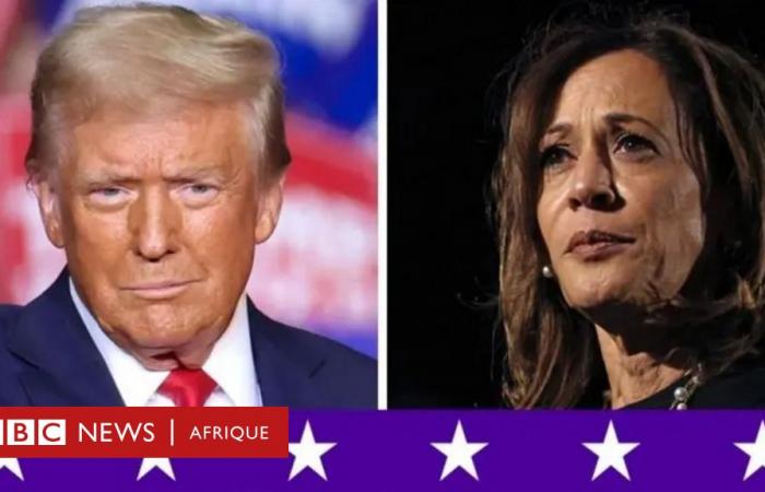 Donald Trump o Kamala Harris: come si stanno delineando i risultati elettorali e cosa sta succedendo negli stati chiave che definiscono la battaglia per la Casa Bianca