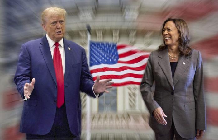 Prima del suo discorso di “concessione”, Kamala Harris ha chiamato Donald Trump per “congratularsi” con lui