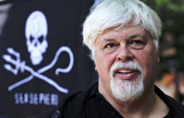 Questa città srotola un enorme striscione a sostegno di Paul Watson