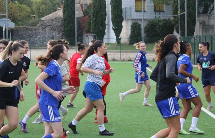 I giocatori della polizia francese si preparano per l'Europeo allo stadio Jean-Bouin di Nîmes