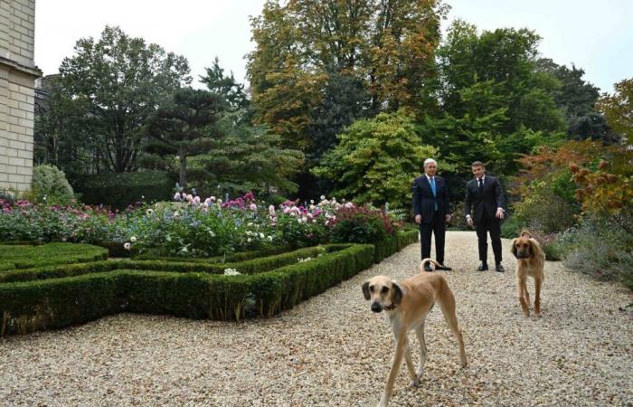 Tokayev e Macron passeggiano nel giardino del Palazzo dell'Eliseo accompagnati dai cani Tazy — – 06.11.2024