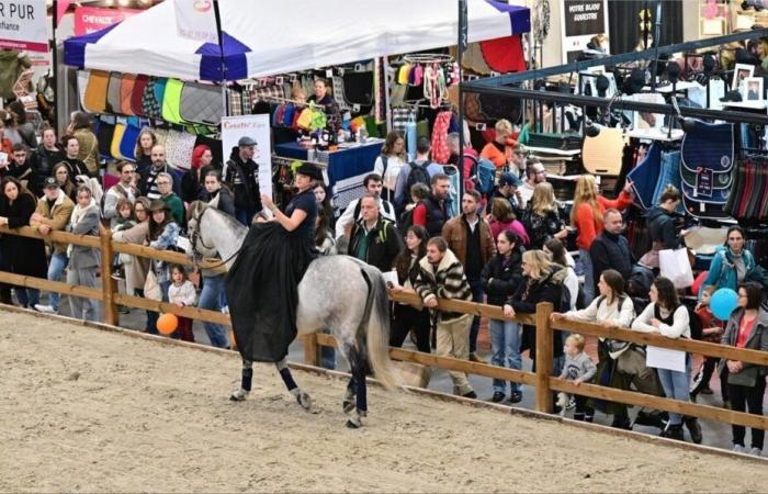 Maine-et-Loire. Mancano pochi giorni all'apertura del Salone del Cavallo di Angers