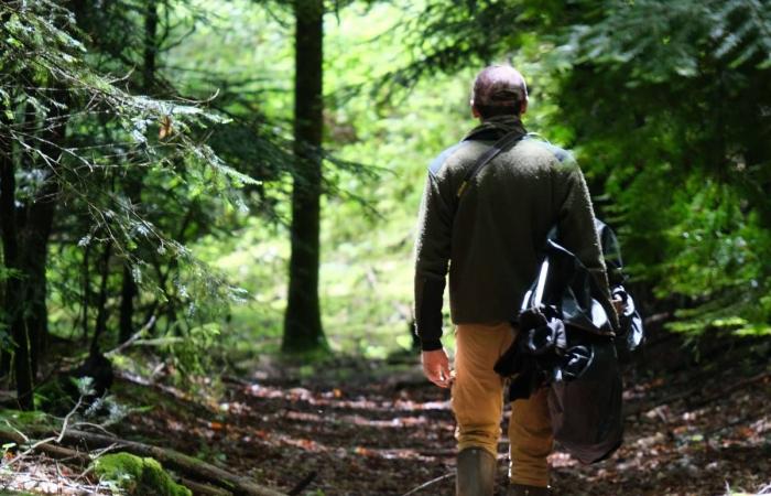 Alla ricerca del fotografo naturalista Bastien Prévost nella Haute Corrèze