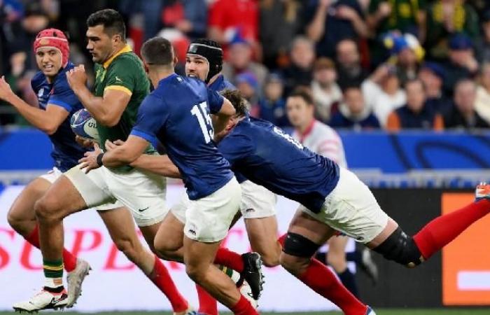 Il francese XV campione del mondo in Australia come l'Inghilterra? La previsione di questo Tricolore