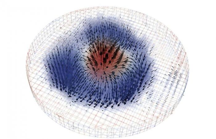 I ricercatori ottengono la prima immagine 3D di uno skyrmion magnetico