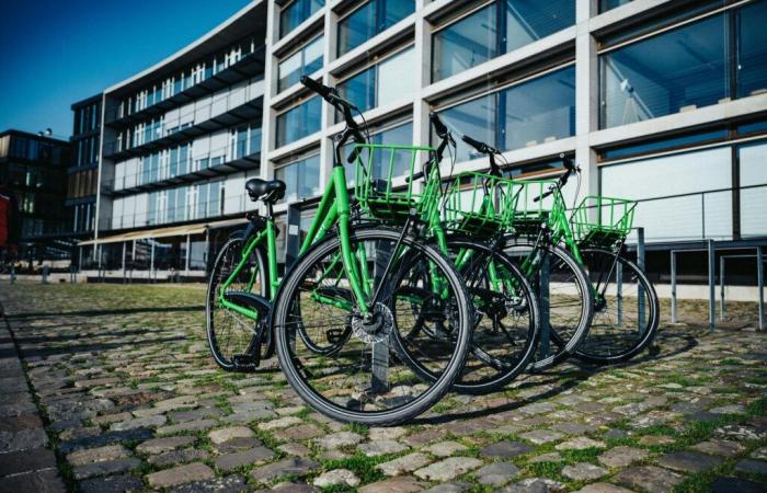 La Regione Occitania mette a disposizione delle biciclette elettriche gli studenti delle scuole superiori del Gard – Attualità – Gard – Occitanie