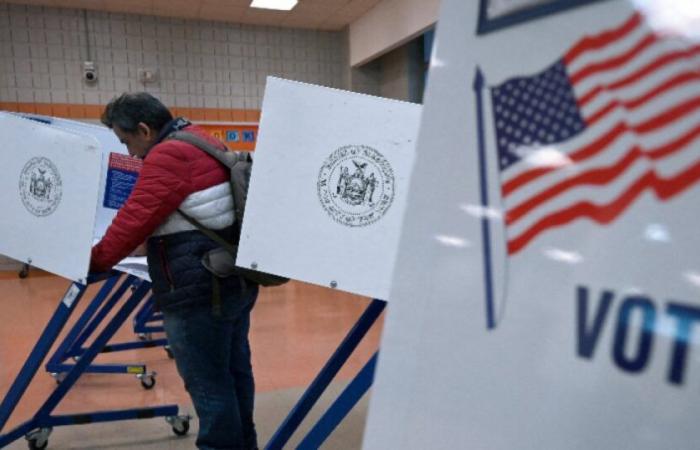 Elezioni presidenziali americane: incidenti segnalati in diversi stati a margine del voto: Notizie