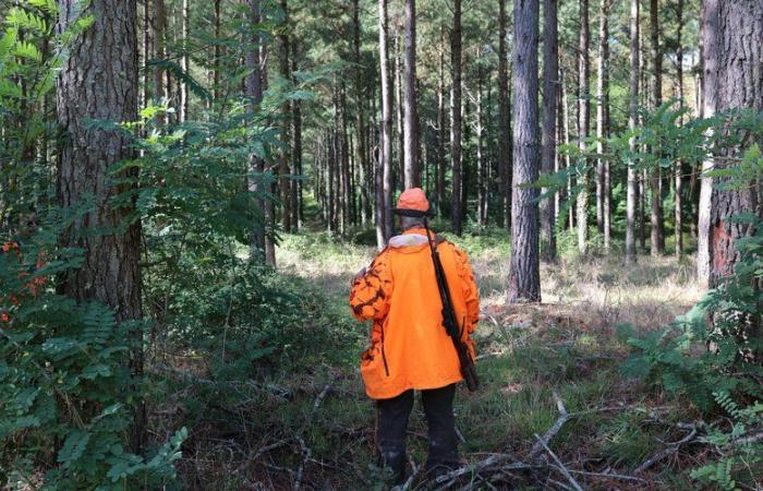 “Aiutatemi, sto per morire”: testimonia il raccoglitore di funghi, a cui è stata amputata la gamba dopo il colpo di un cacciatore