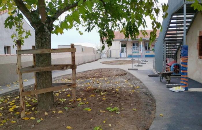 La natura riprende i suoi diritti sul bitume in questa scuola nel vigneto di Nantes