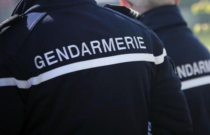 I gendarmi hanno accolto con schiaffi e insulti mentre cercavano di porre fine ad una violenta lite domestica nell'Aveyron