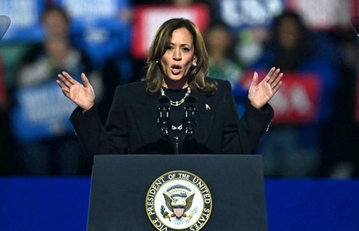 Kamala Harris avrebbe bisogno di un “miracolo” in mezzo al vento contrario dell'exit poll: Chris Wallace