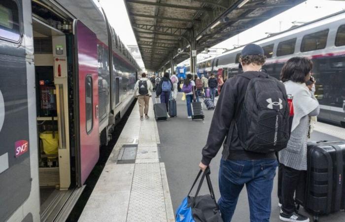 Tempi di viaggio, città non servite, lavori di ristrutturazione… Cosa attende i viaggiatori della linea TGV Parigi-Lione nel fine settimana dell'11 novembre