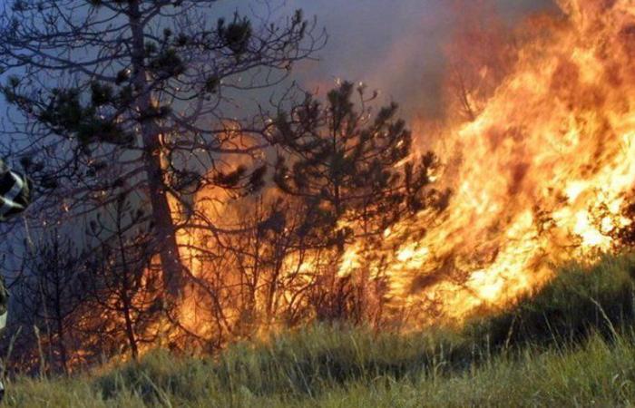 Voleva “stringere i legami” della sua squadra: un ex capo dei vigili del fuoco condannato a 3 anni di carcere per 6 incendi dolosi