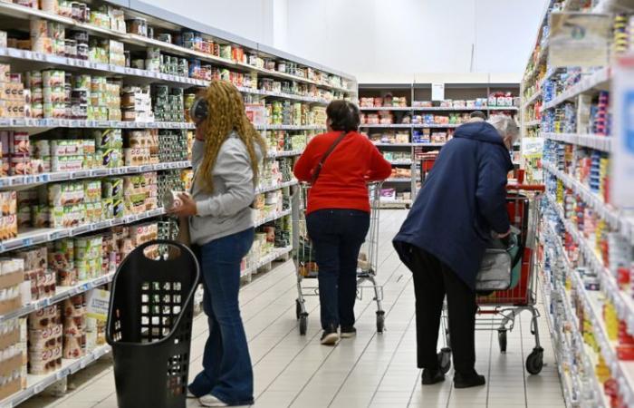 NARRAZIONE. Auchan: come il marchio è passato da campione della grande distribuzione del Nord a gruppo in difficoltà