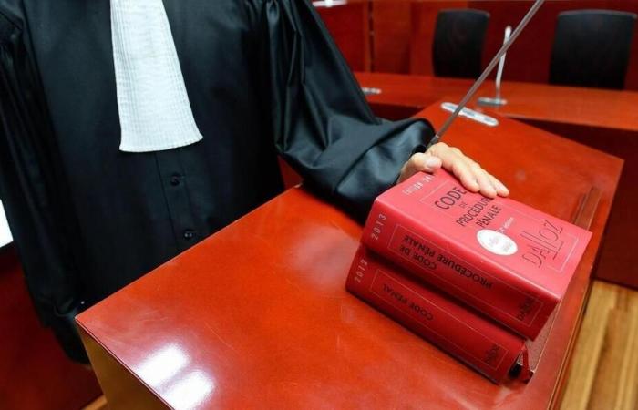 Giovani della Manica processati per una trentina di atti di furto, frode e