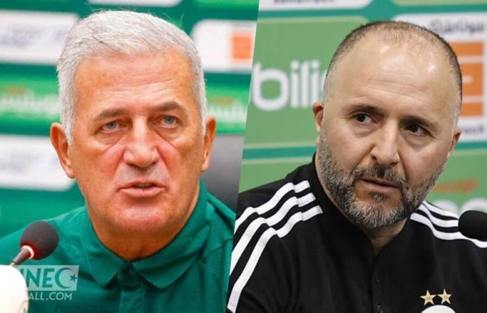 Il difensore fervente Belmadi attacca Petkovic