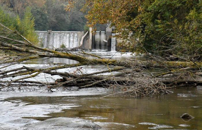 I residenti di Carcassonne sono preoccupati per la scarsa manutenzione del fiume Aude e chiedono una rapida pulizia