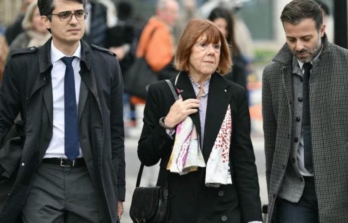 al processo per stupro di Mazan, le scuse di un camionista