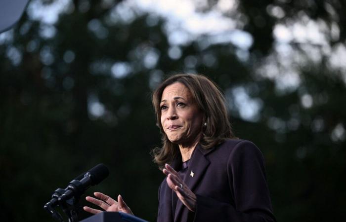 La sconfitta di Kamala Harris o il fallimento della strategia democratica