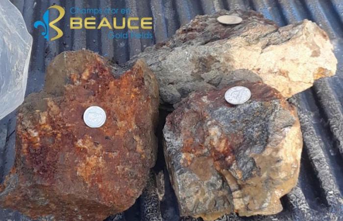 Champs D’Or En Beauce scopre nuovi affioramenti mineralizzati che si allineano con la struttura antiforme del “Saddle Reef”