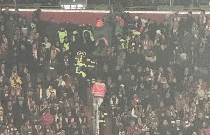 FC Bayern: attacco di cuore all'Allianz Arena! Tifoso morto nella vittoria contro il Benfica Lisbona | sport