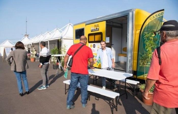 Bpifrance e la regione della Riunione hanno organizzato il primo “Co Crea Meeting” sull'imprenditorialità dei quartieri. In questa occasione, Bpifrance e Initiative Réunion hanno inaugurato il primo “Bus dell’imprenditorialità” all’estero – Bpifrance 2024